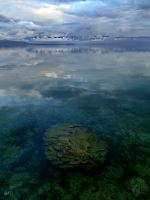 Transparency And Reflection